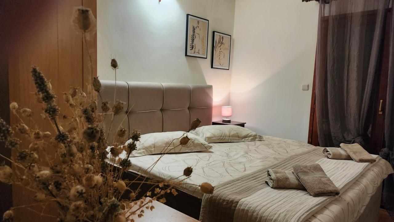 Apartments Rogoznicka Oaza 罗戈兹尼察 外观 照片